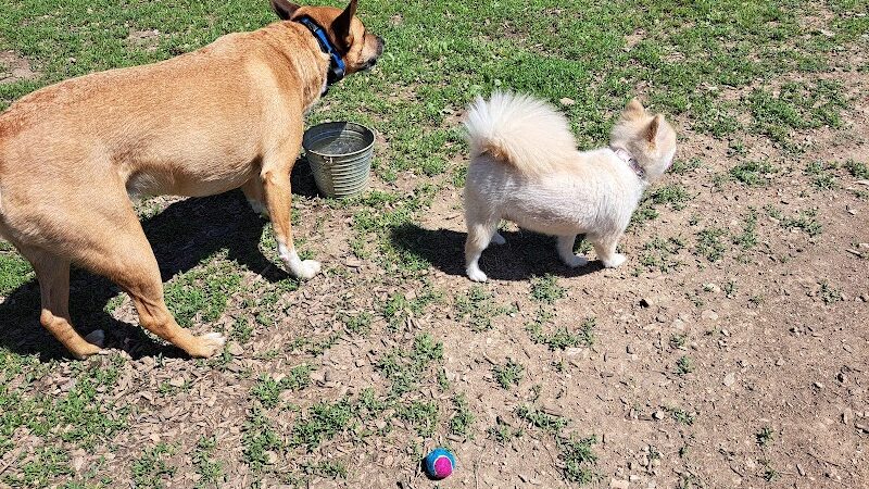 Red Bank Dog Park - Red Bank, TN