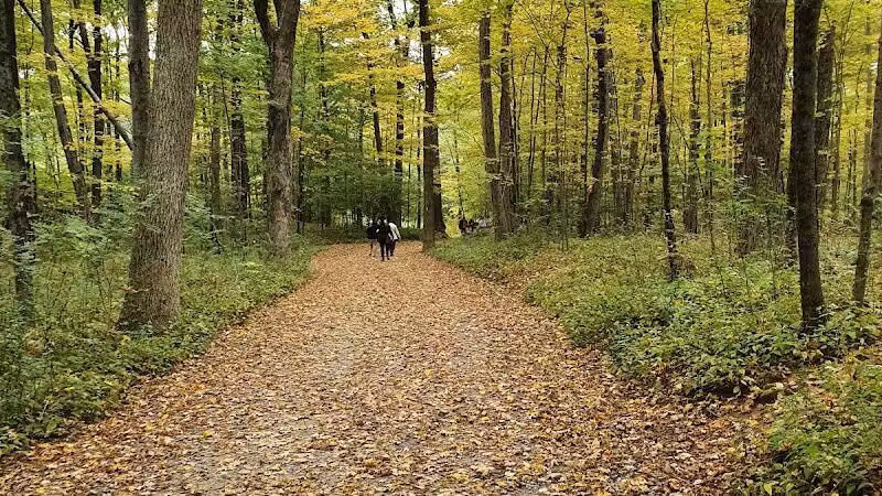 Collis P. Huntington State Park - Redding, CT