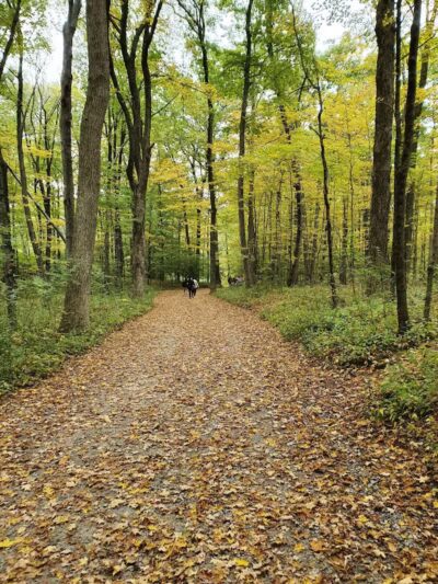 Collis P. Huntington State Park - Redding, CT