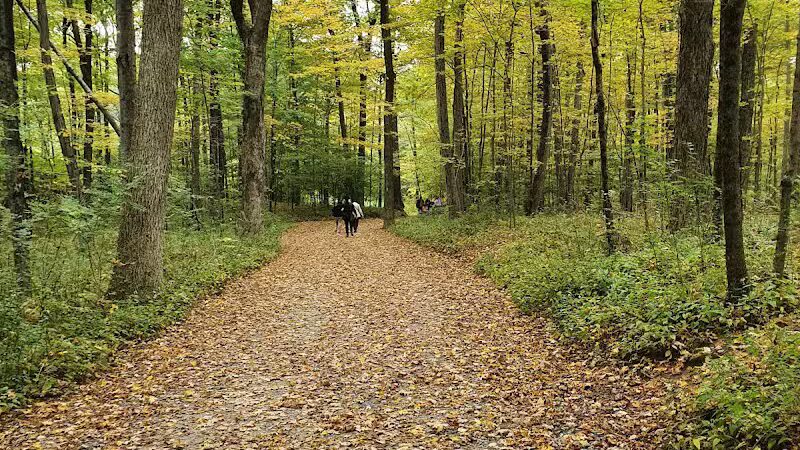 Collis P. Huntington State Park - Redding, CT