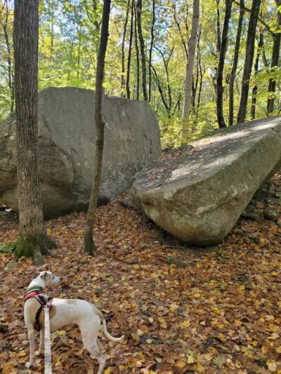 Collis P. Huntington State Park - Redding, CT
