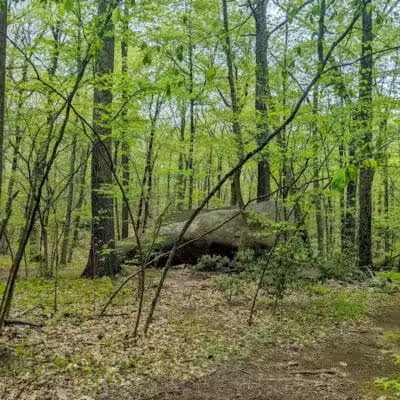Collis P. Huntington State Park - Redding, CT