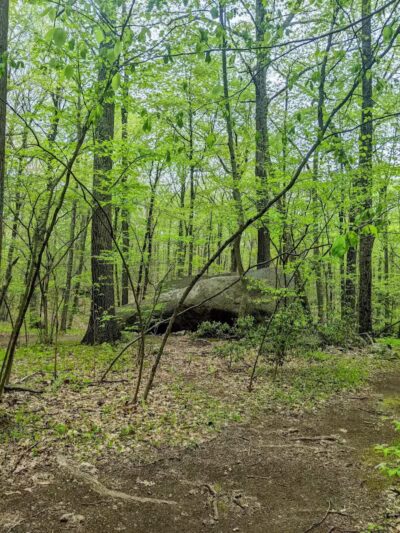 Collis P. Huntington State Park - Redding, CT