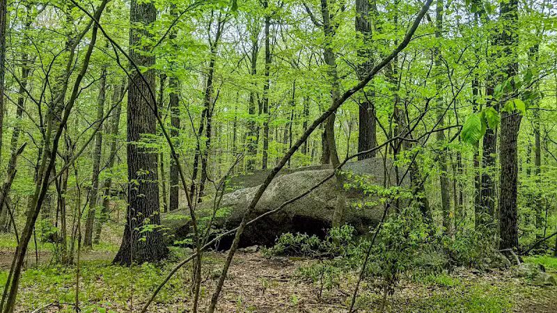 Collis P. Huntington State Park - Redding, CT