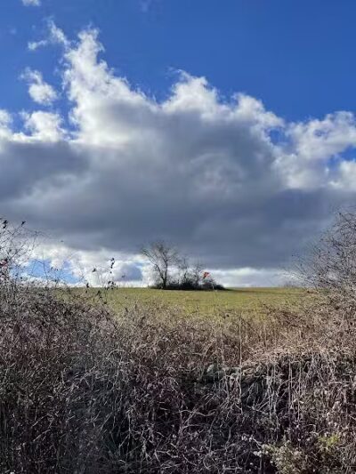 Collis P. Huntington State Park - Redding, CT