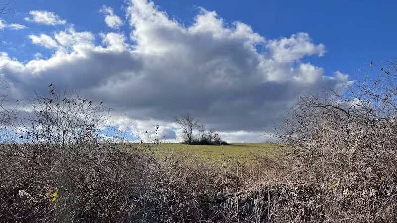 Collis P. Huntington State Park - Redding, CT