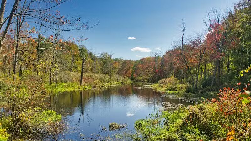 Saugatuck Falls Natural Area - Redding, CT