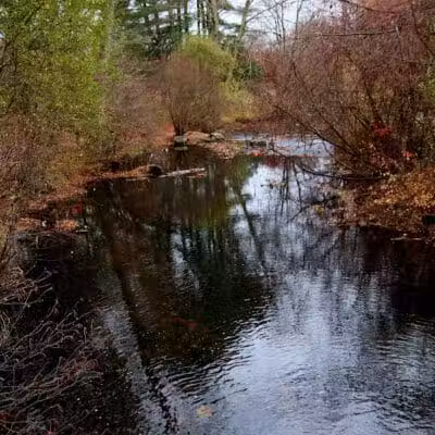 Saugatuck Falls Natural Area - Redding, CT