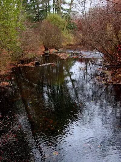 Saugatuck Falls Natural Area - Redding, CT