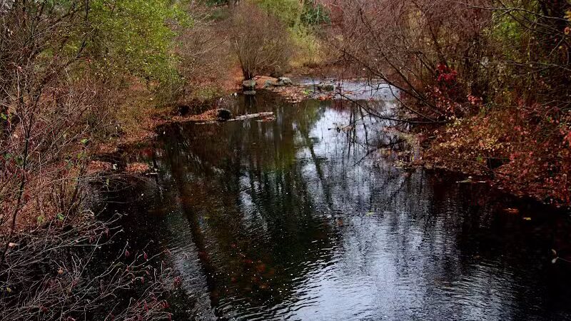 Saugatuck Falls Natural Area - Redding, CT