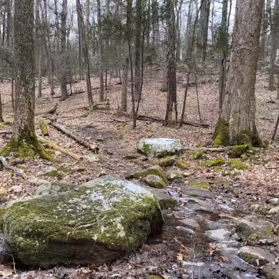 Saugatuck Falls Natural Area - Redding, CT