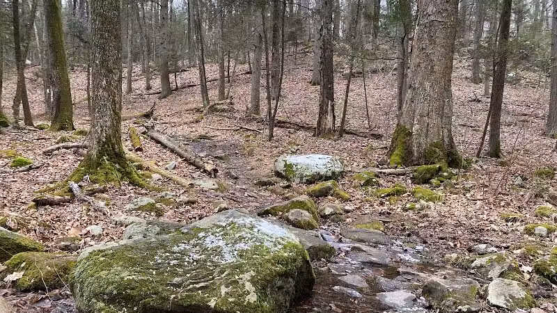 Saugatuck Falls Natural Area - Redding, CT