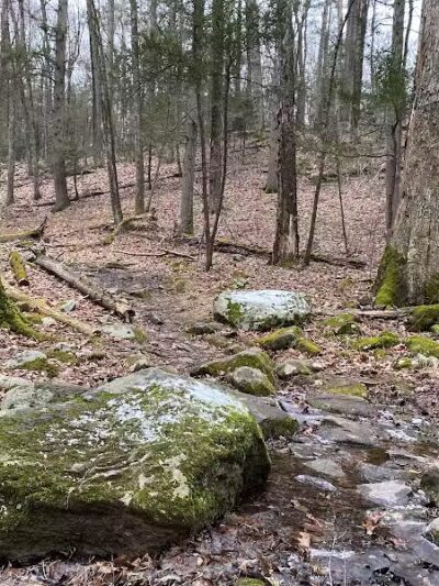 Saugatuck Falls Natural Area - Redding, CT