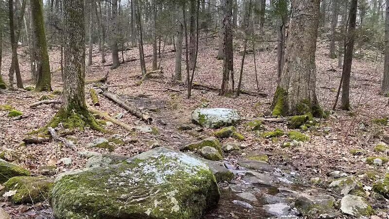 Saugatuck Falls Natural Area - Redding, CT