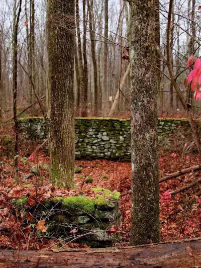 Saugatuck Falls Natural Area - Redding, CT
