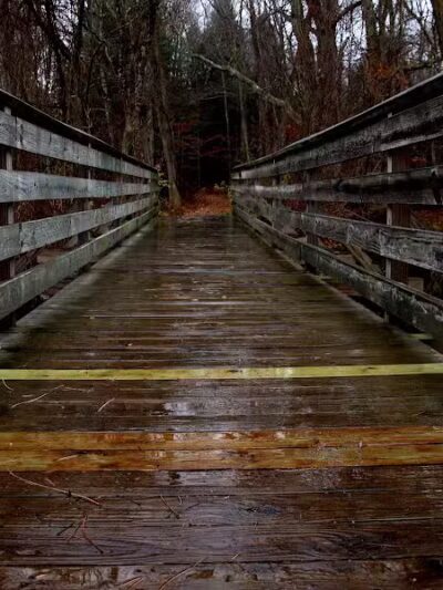 Saugatuck Falls Natural Area - Redding, CT