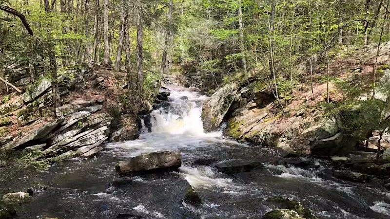 Saugatuck Falls Natural Area - Redding, CT