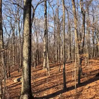 Topstone Park - Redding, CT