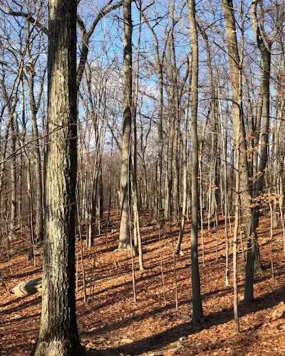 Topstone Park - Redding, CT