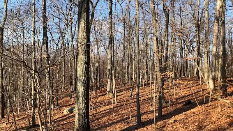 Topstone Park - Redding, CT