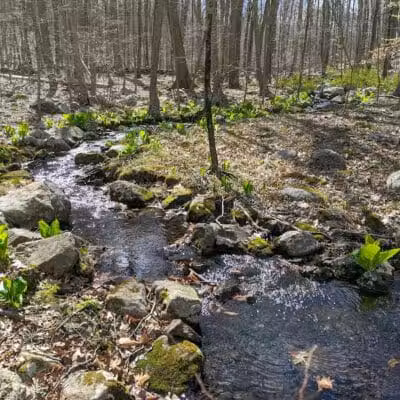 Topstone Park - Redding, CT
