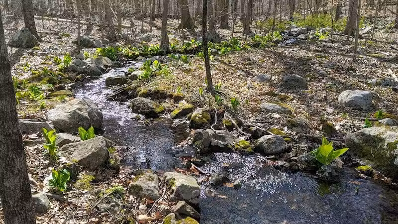 Topstone Park - Redding, CT