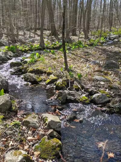 Topstone Park - Redding, CT