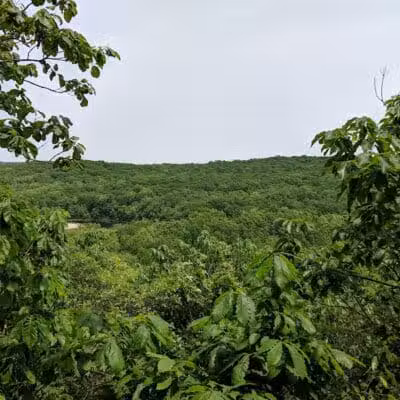 Topstone Park - Redding, CT