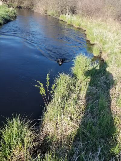 Redgranite’s Willow Creek Park - Redgranite, WI