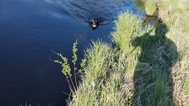Redgranite’s Willow Creek Park - Redgranite, WI