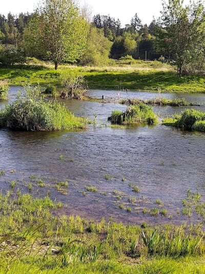 Marymoor Off-Leash Dog Park - Redmond, WA
