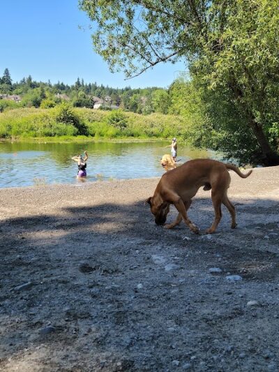 Marymoor Off-Leash Dog Park - Redmond, WA