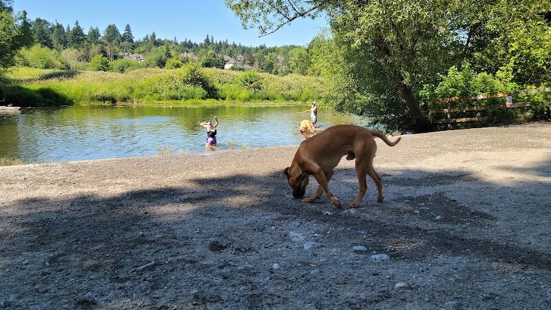 Marymoor Off-Leash Dog Park - Redmond, WA