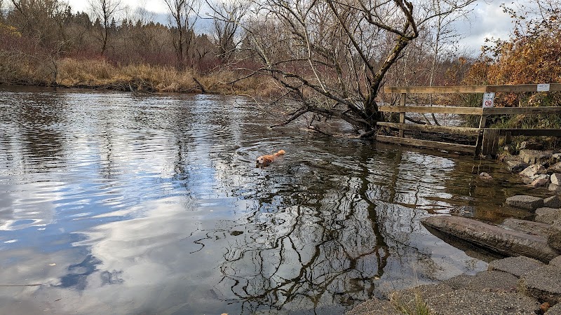 Marymoor Off-Leash Dog Park - Redmond, WA