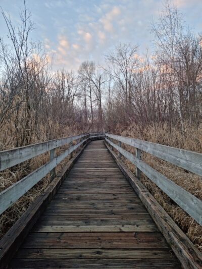 Marymoor Off-Leash Dog Park - Redmond, WA