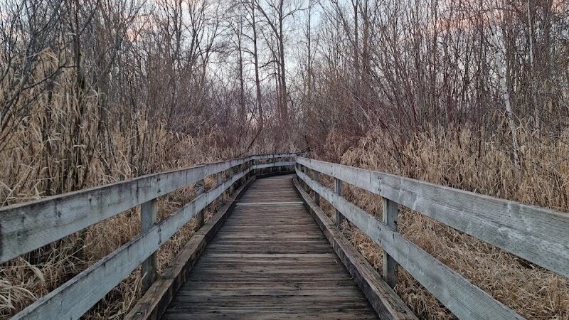 Marymoor Off-Leash Dog Park - Redmond, WA
