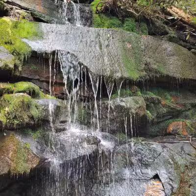 Chestnut Mountain Bluff - Reliance, TN