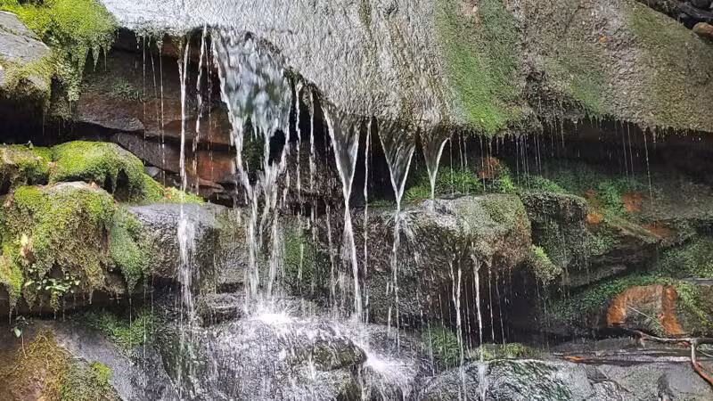 Chestnut Mountain Bluff - Reliance, TN