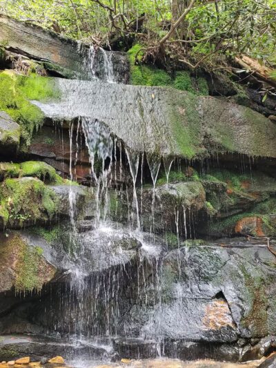 Chestnut Mountain Bluff - Reliance, TN