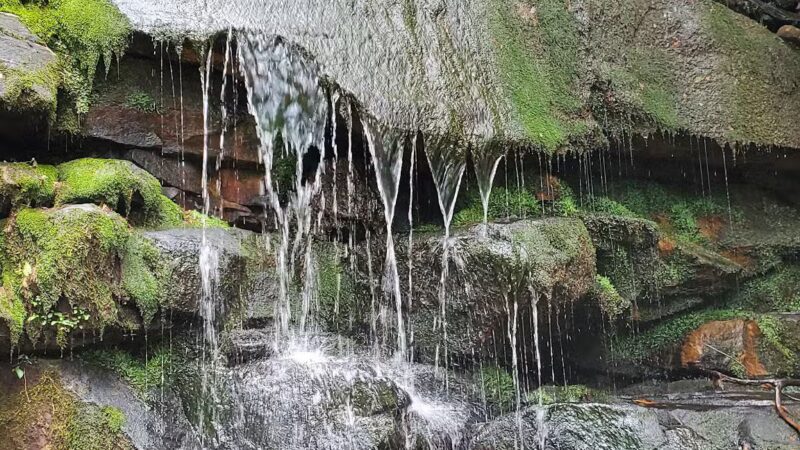 Chestnut Mountain Bluff - Reliance, TN