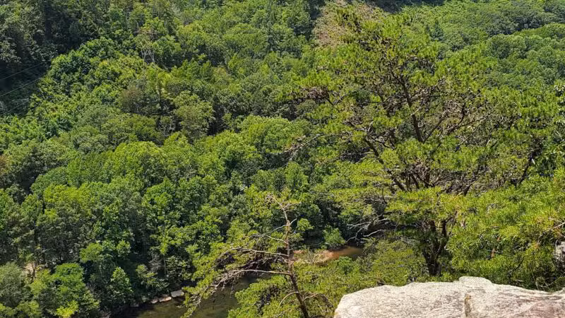 Chestnut Mountain Bluff - Reliance, TN