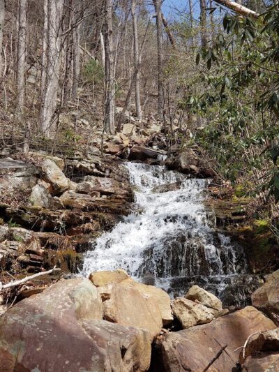 Chestnut Mountain Bluff - Reliance, TN