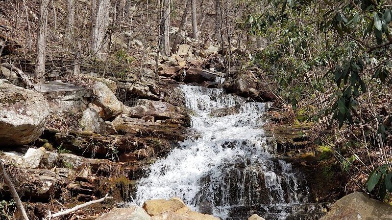 Chestnut Mountain Bluff - Reliance, TN