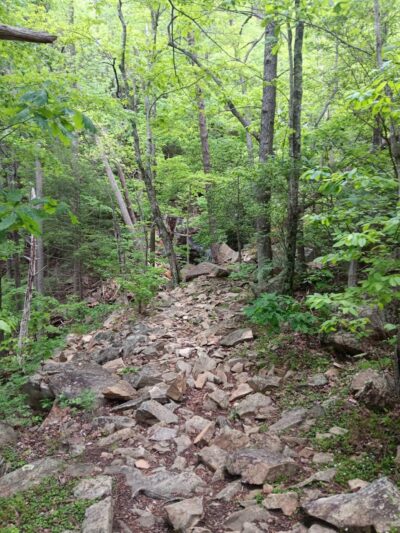 Chestnut Mountain Bluff - Reliance, TN