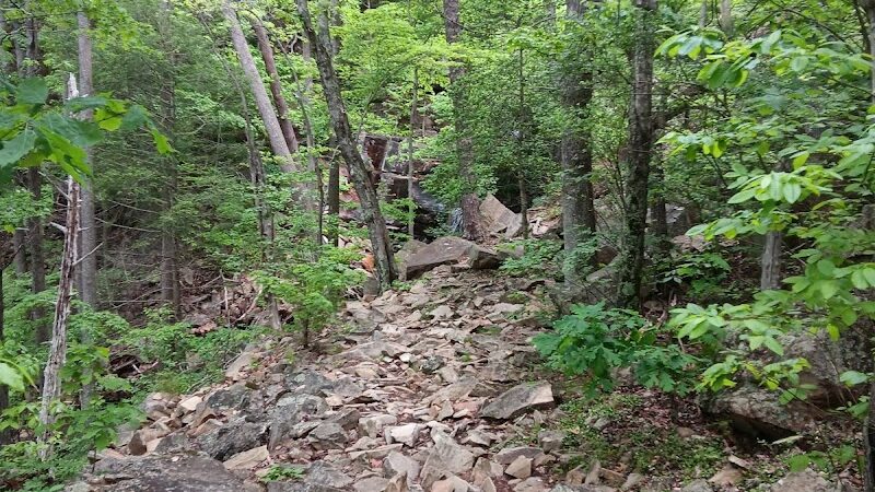 Chestnut Mountain Bluff - Reliance, TN