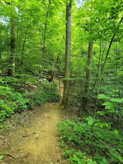 Clemmer Trailhead - Reliance, TN