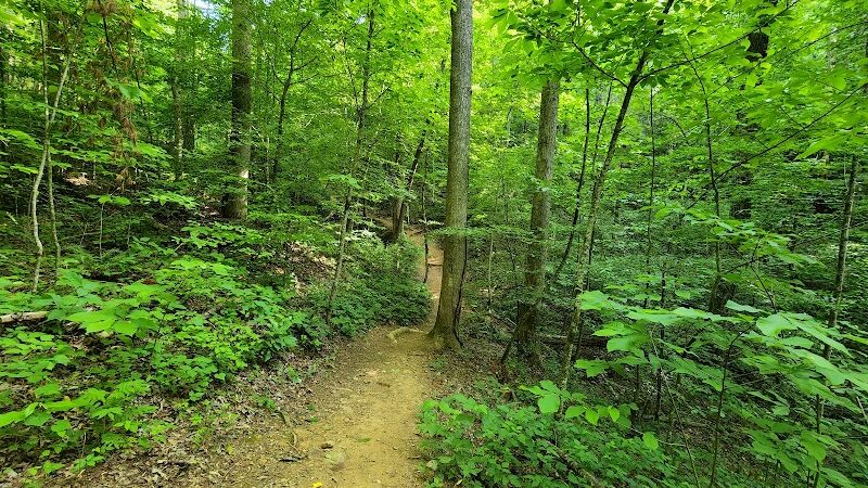 Clemmer Trailhead - Reliance, TN