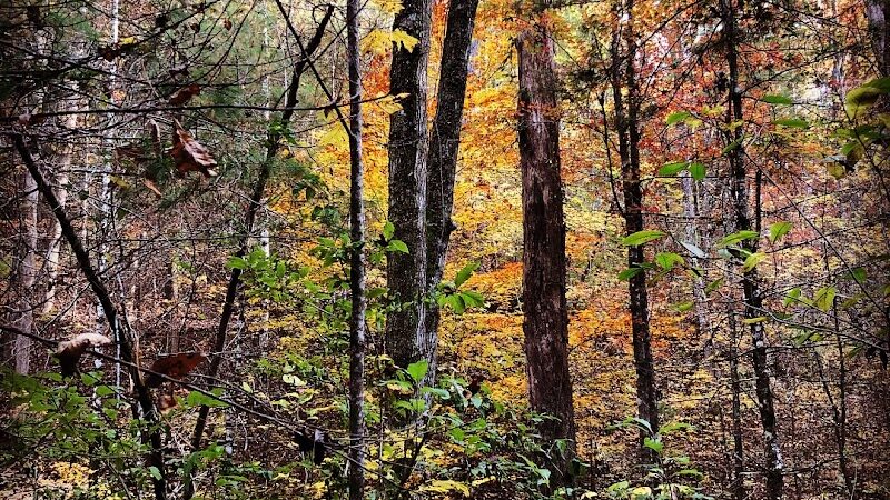 Clemmer Trailhead - Reliance, TN