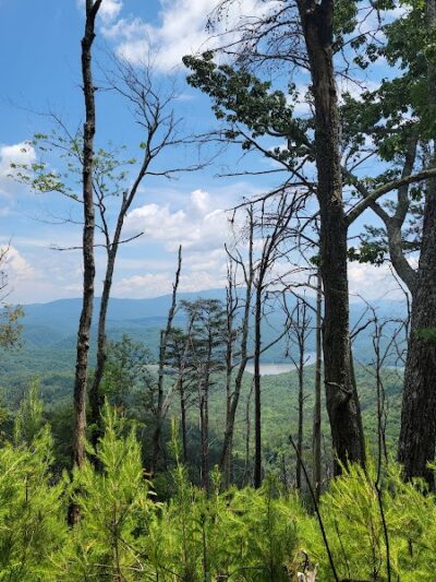 Clemmer Trailhead - Reliance, TN