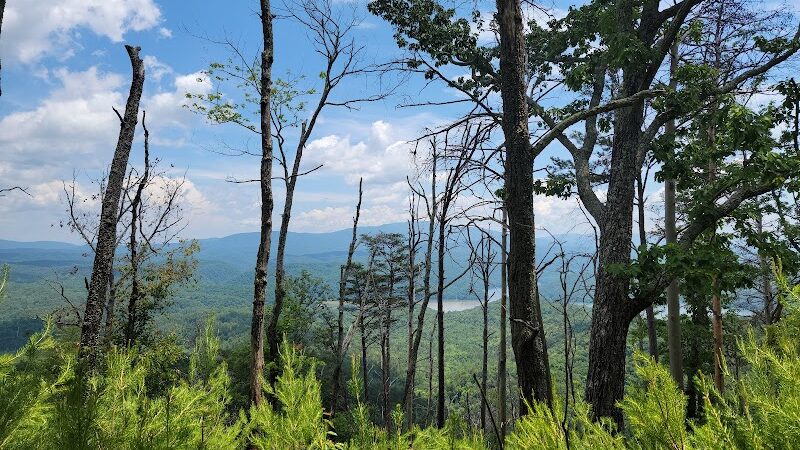 Clemmer Trailhead - Reliance, TN